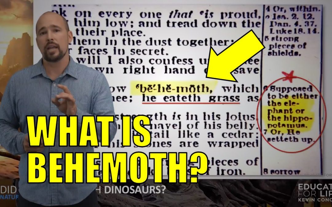 Are there dinosaurs in the Bible?
