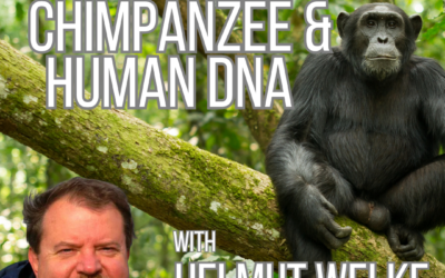 How Similar Are Chimpanzee & Human DNA with Helmut Welke